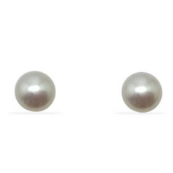 Tulip|Freshwater pearl stud earrings