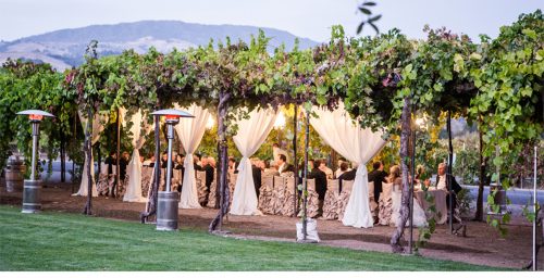 Wedding venue | Vineyard | Wedding Blog | Jeanette Maree
